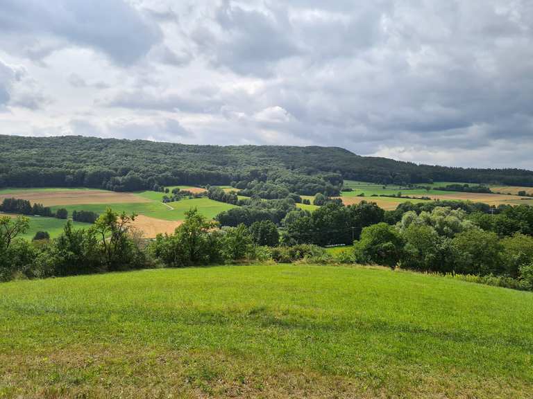 Blick auf Pünzendorf Routes for Walking and Hiking | Komoot