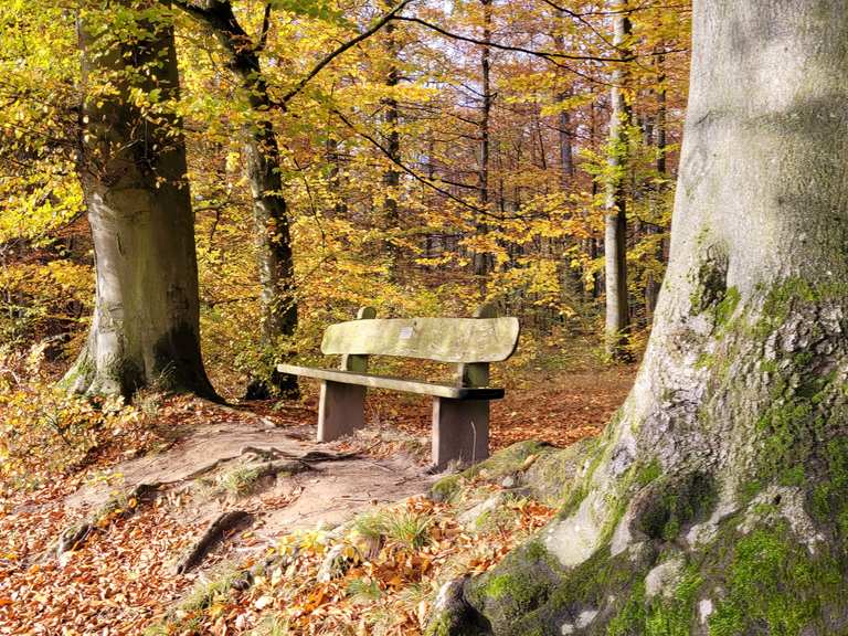 Alter Teich Wanderungen und Rundwege komoot