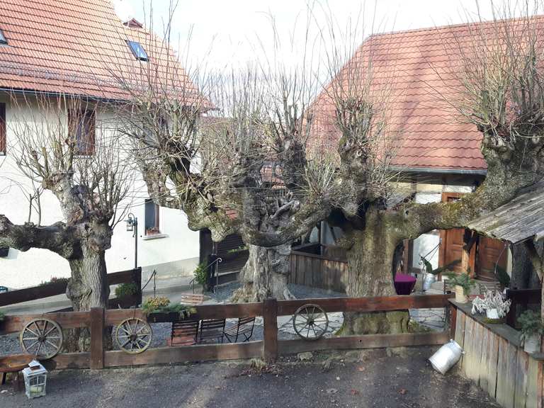 Waldgasthof 