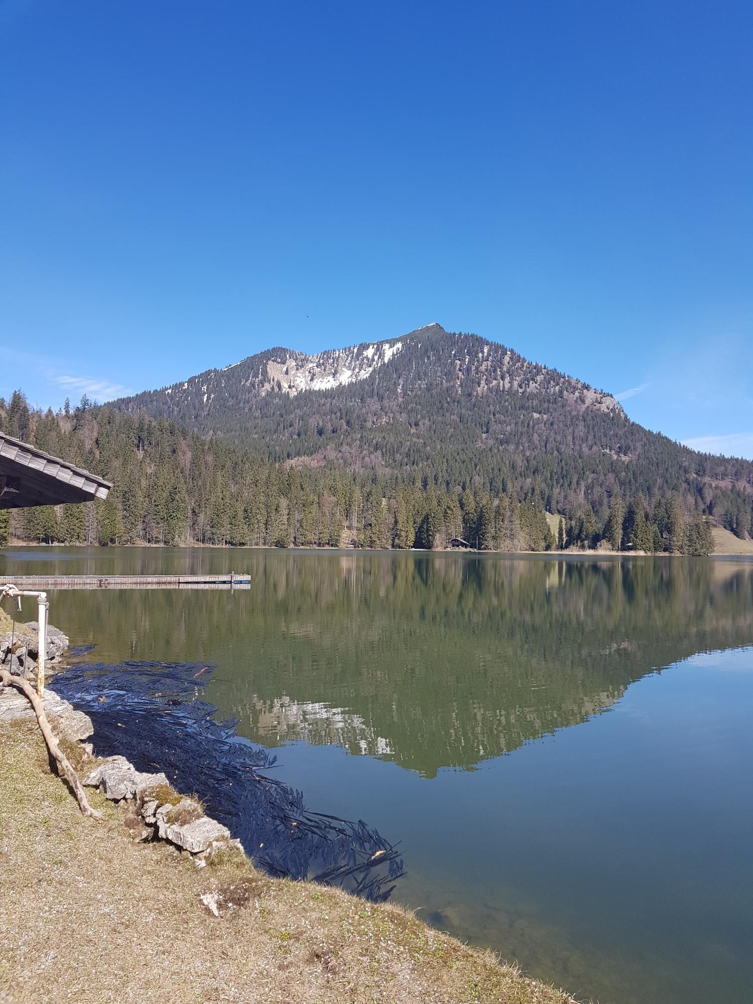 Obere Firstalm – Spitzingsee Runde Von Spitzingsee | Wanderung | Komoot