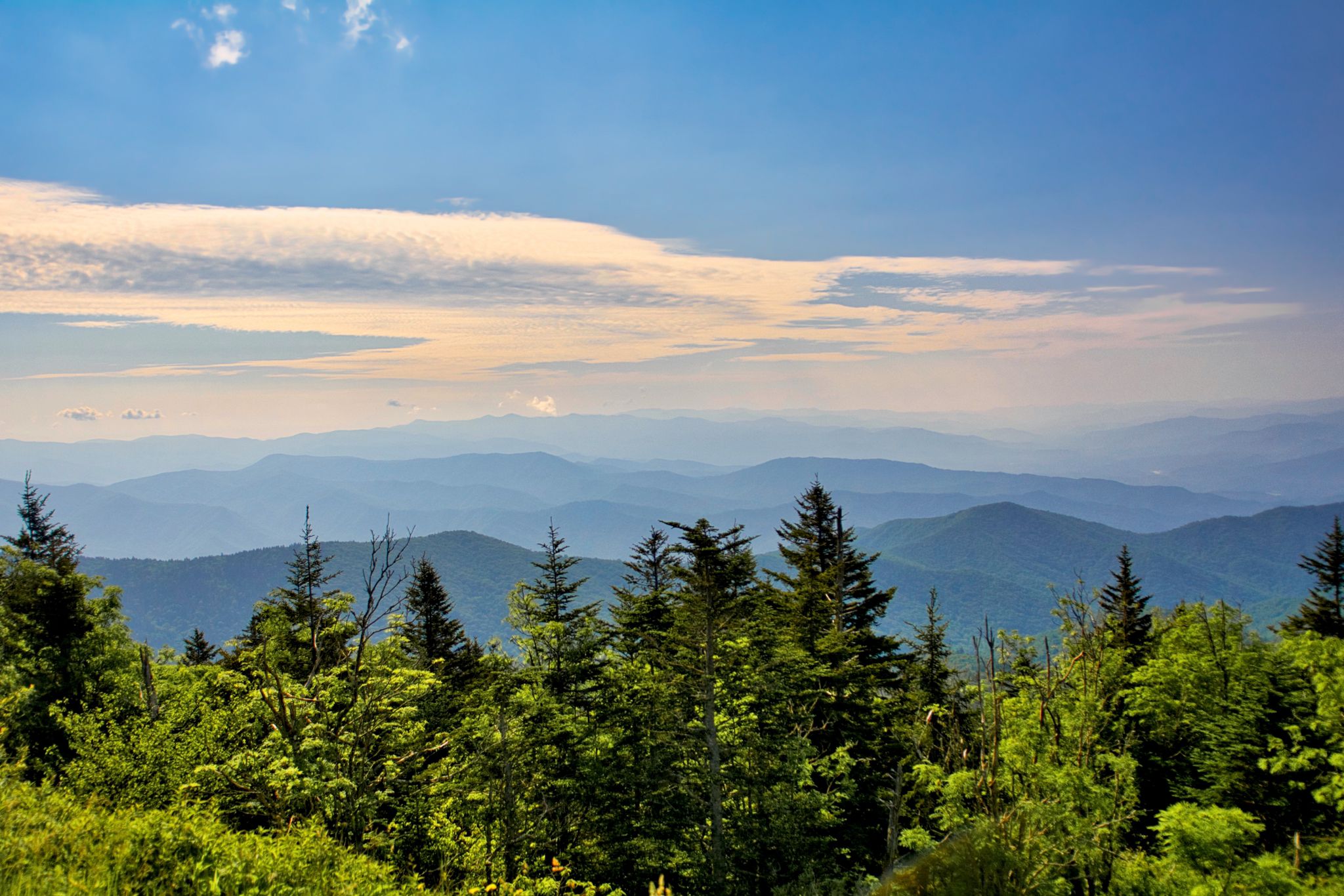 Expansive view of blue mountain ranges under a bright, partly cloudy sky. - Craggy Gardens Picnic Area – Craggy Gardens viewpoint loop from Bearpen Knob