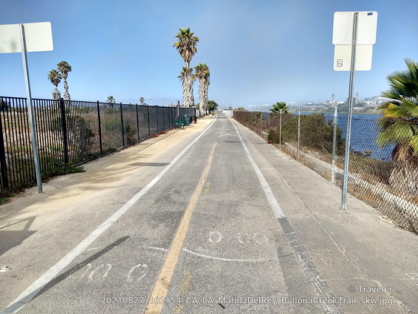 A paved path with fences on both sides and palm trees under a bright sky.