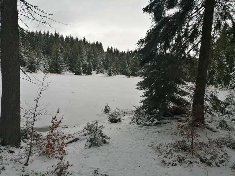 Ullersdorfer Teich Wanderungen und Rundwege komoot