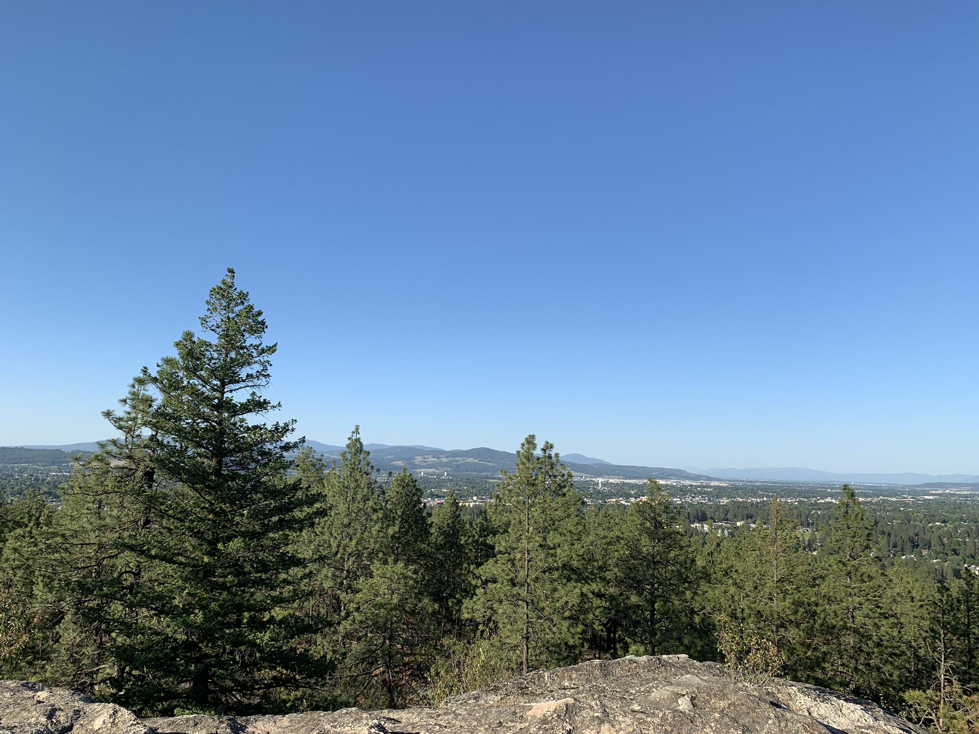 Panoramic view from a rocky cliff overlooking a vast forest and distant town.