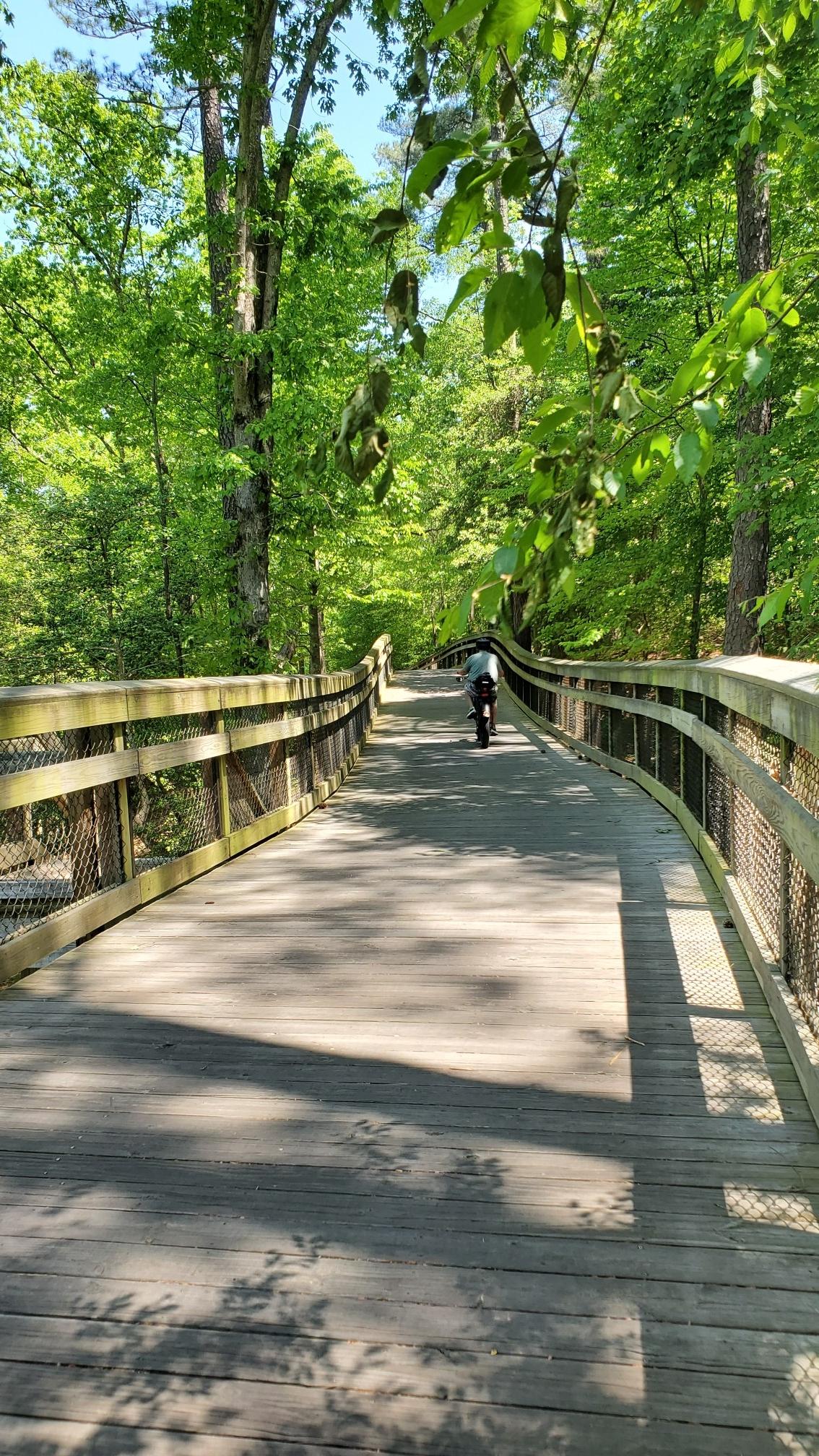 Person biking on a sunny wooden boardwalk through lush green trees.