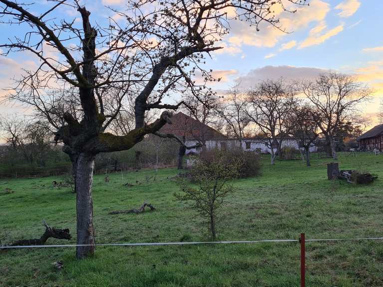 Erfurt Schwedenschanze Routes for Walking and Hiking Komoot