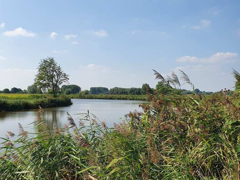Meanderende Oude Schelde wandelroutes en hikes | Komoot