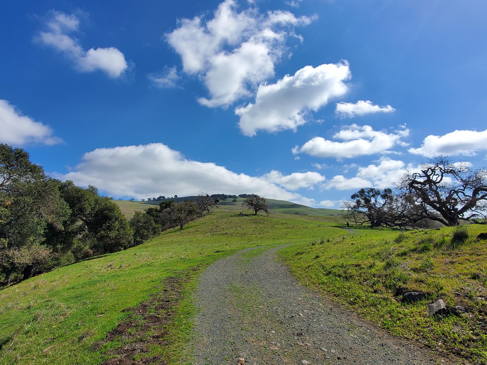 Gravel path winding up a green grassy hill under a cloudy blue sky.