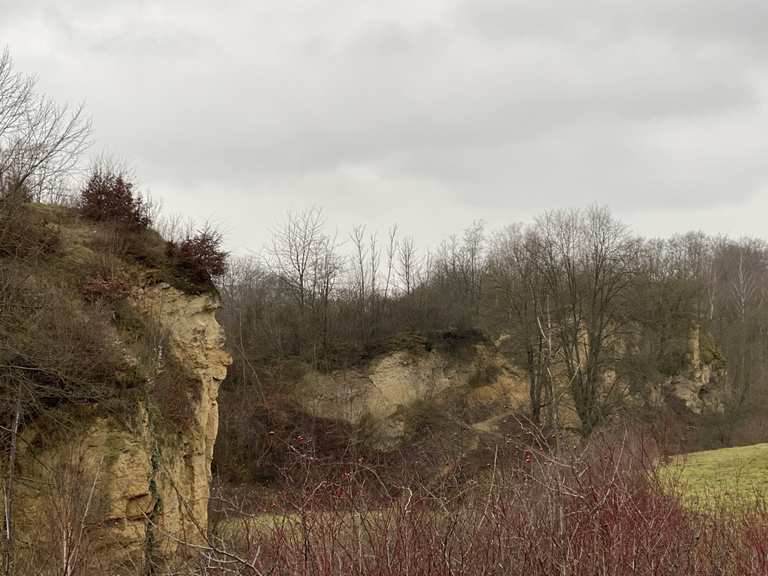 Der Doberg in den Jahreszeiten Wanderungen und Rundwege komoot