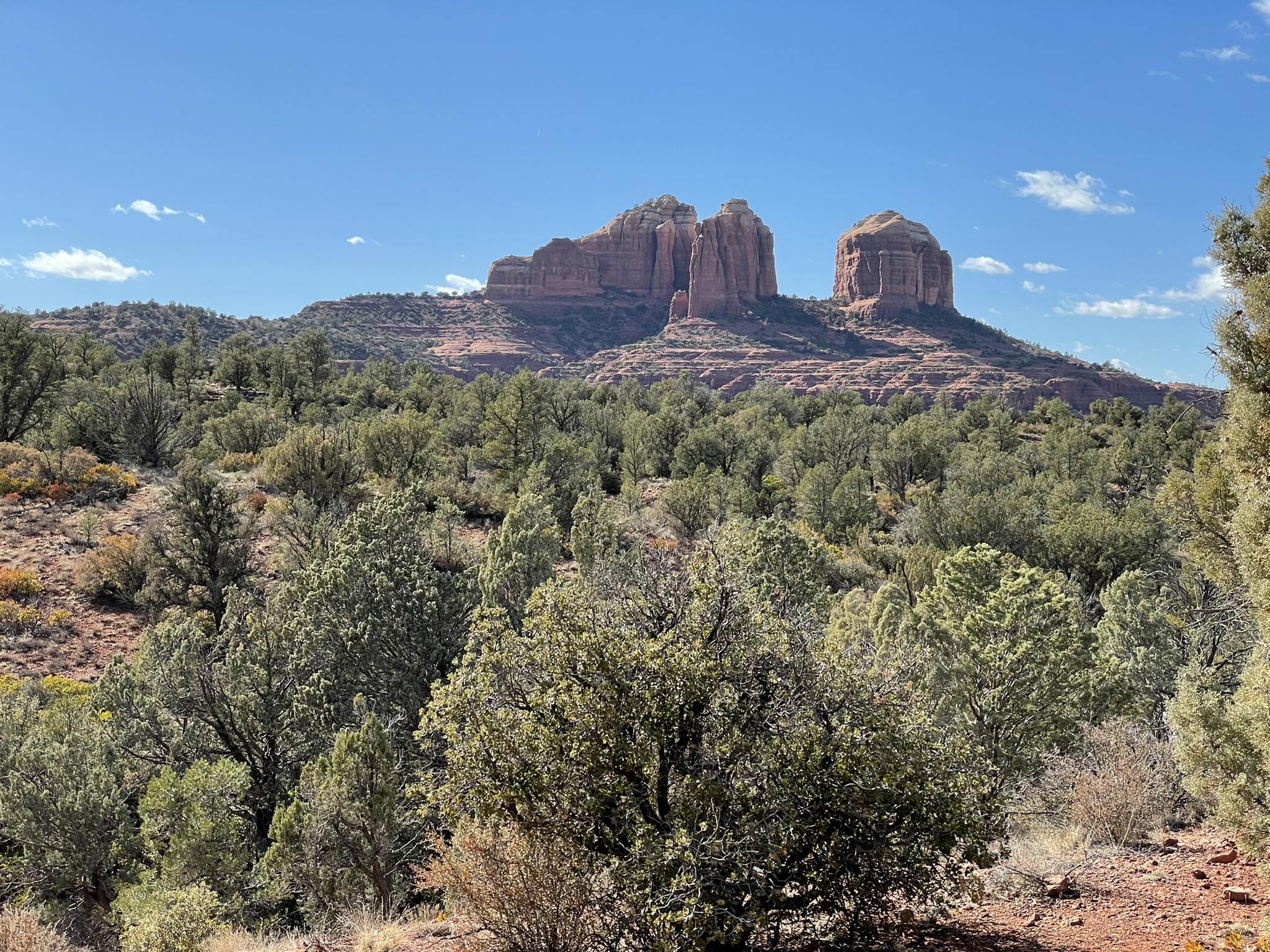 Green trees and brush in foreground, with large red rock formations.