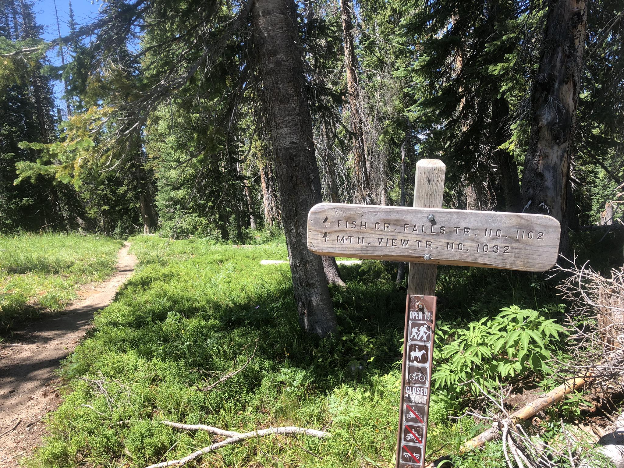 Wooden trail sign in a dense forest with a dirt path.