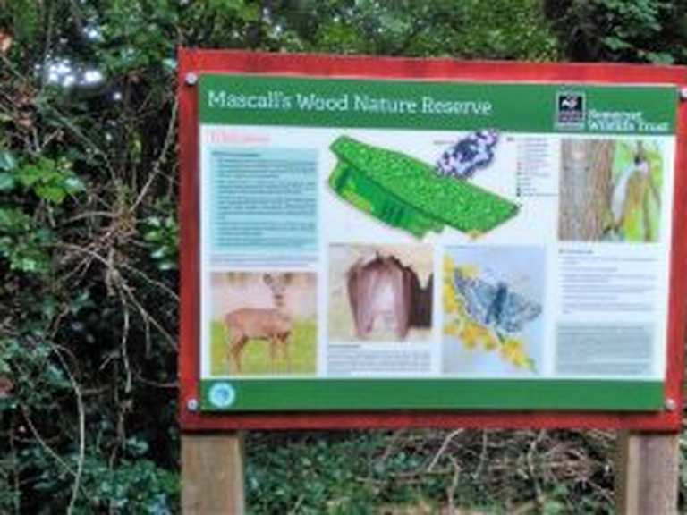 Mascall's Wood Naturreservat: Wanderungen und Rundwege | komoot