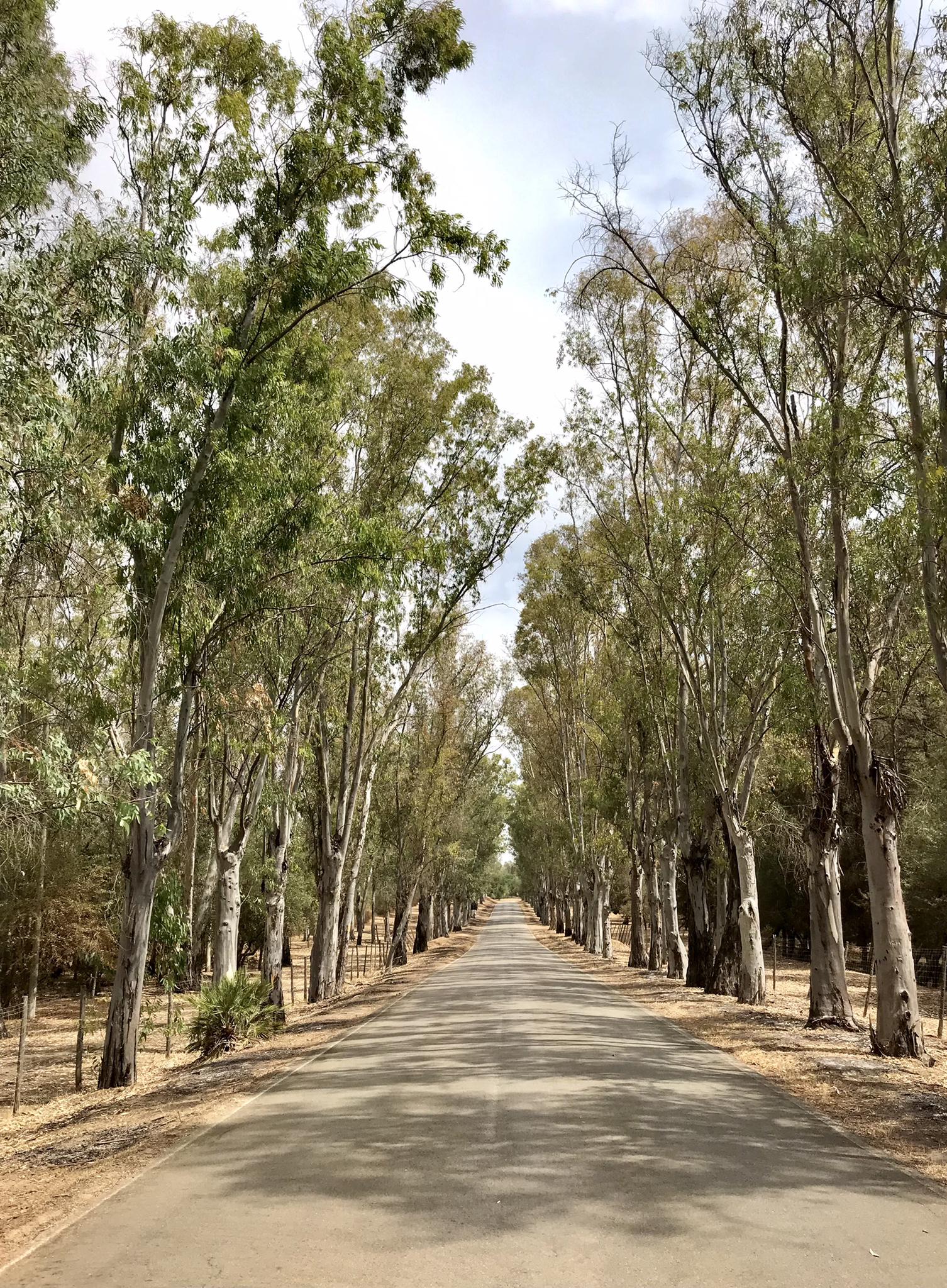 Los mejores sitios que ver en Mazzarrone - Top 14 | Komoot, image size:1506x2048