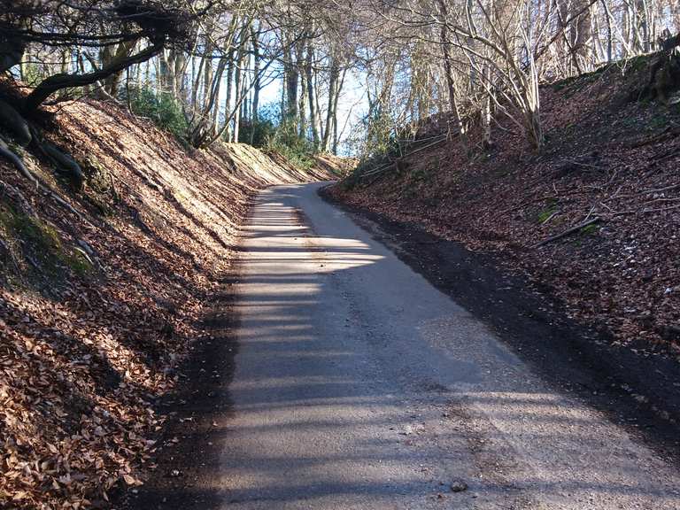 Hale Lane climb Road Cycle Routes and Map Komoot