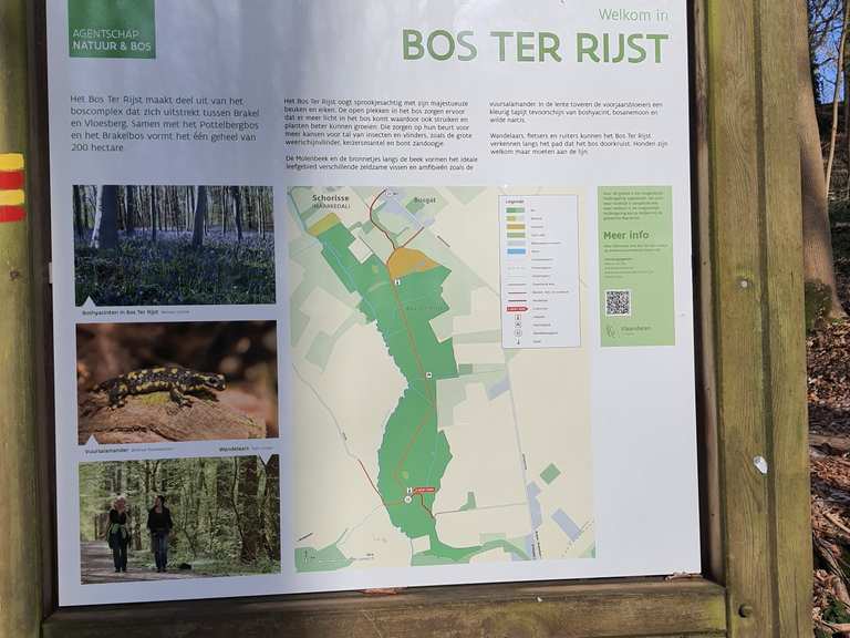 Bos Ter Rijst – Wandel- & Fietsroutes | Komoot