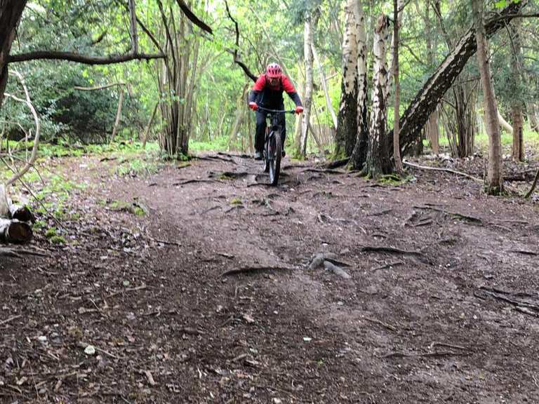 SW Loop | mountain bike ride | Komoot