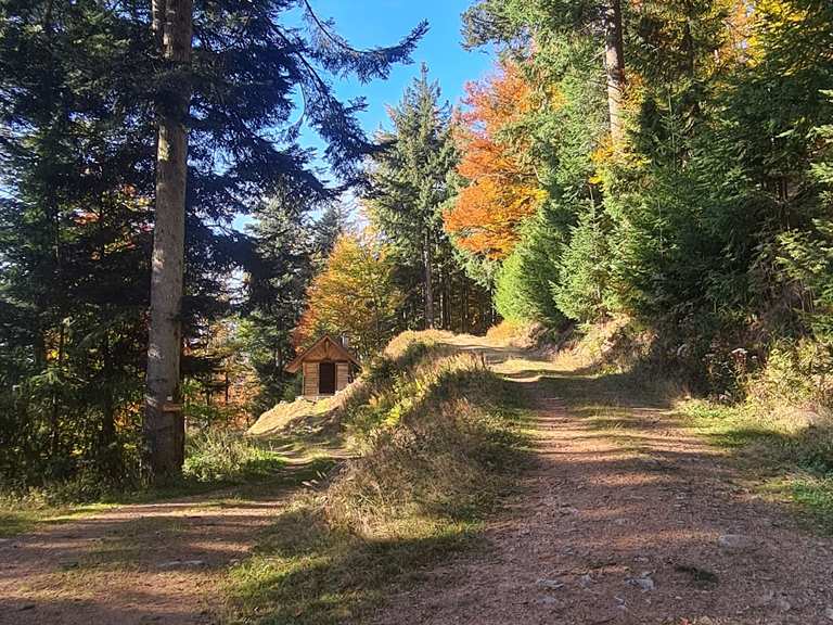 Der Blauenblick – Blauen Runde von Müllheim (Baden) | Mountainbike-Tour ...