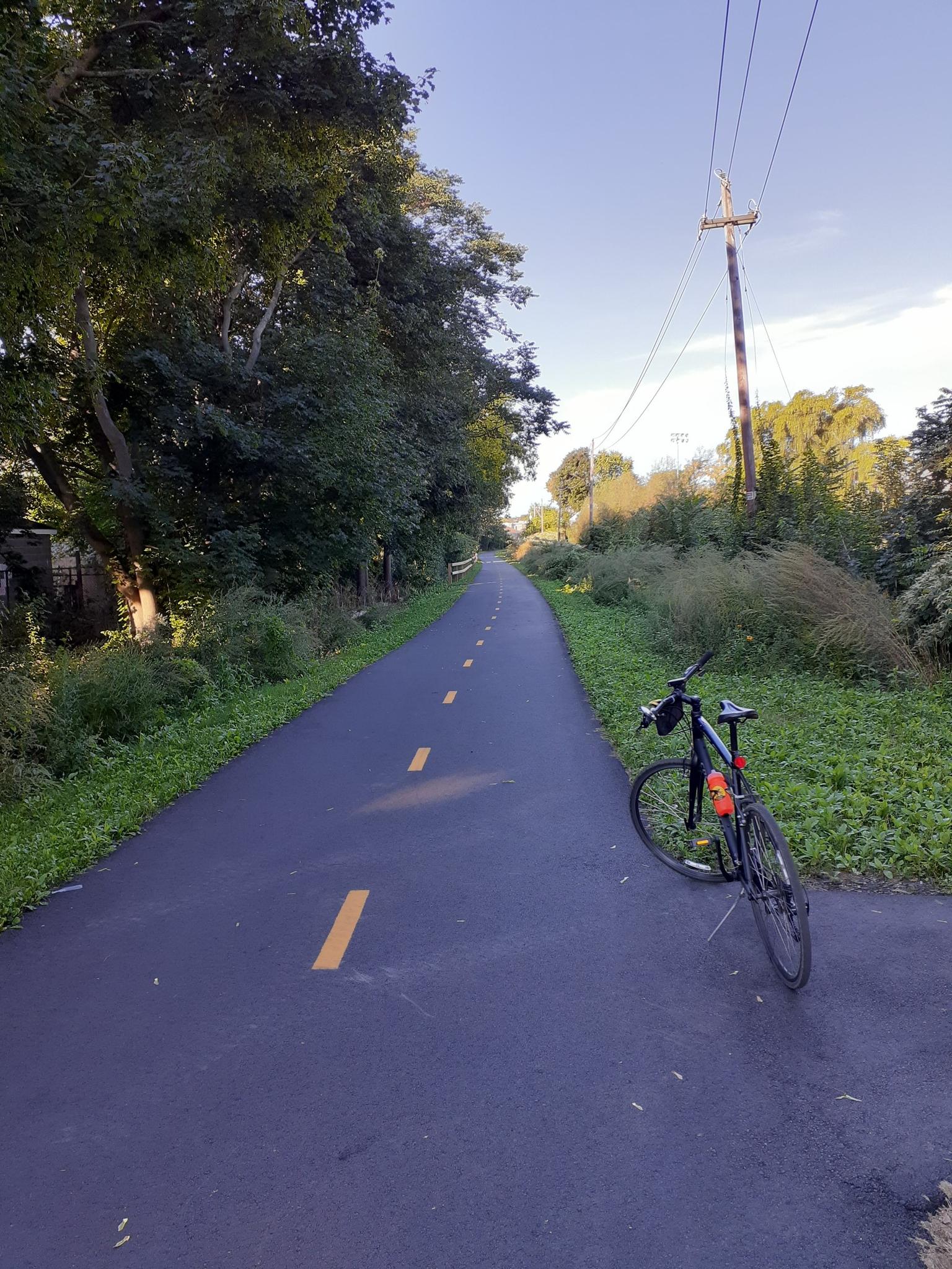 Bicycle parked on a sunny paved path lined with green trees.