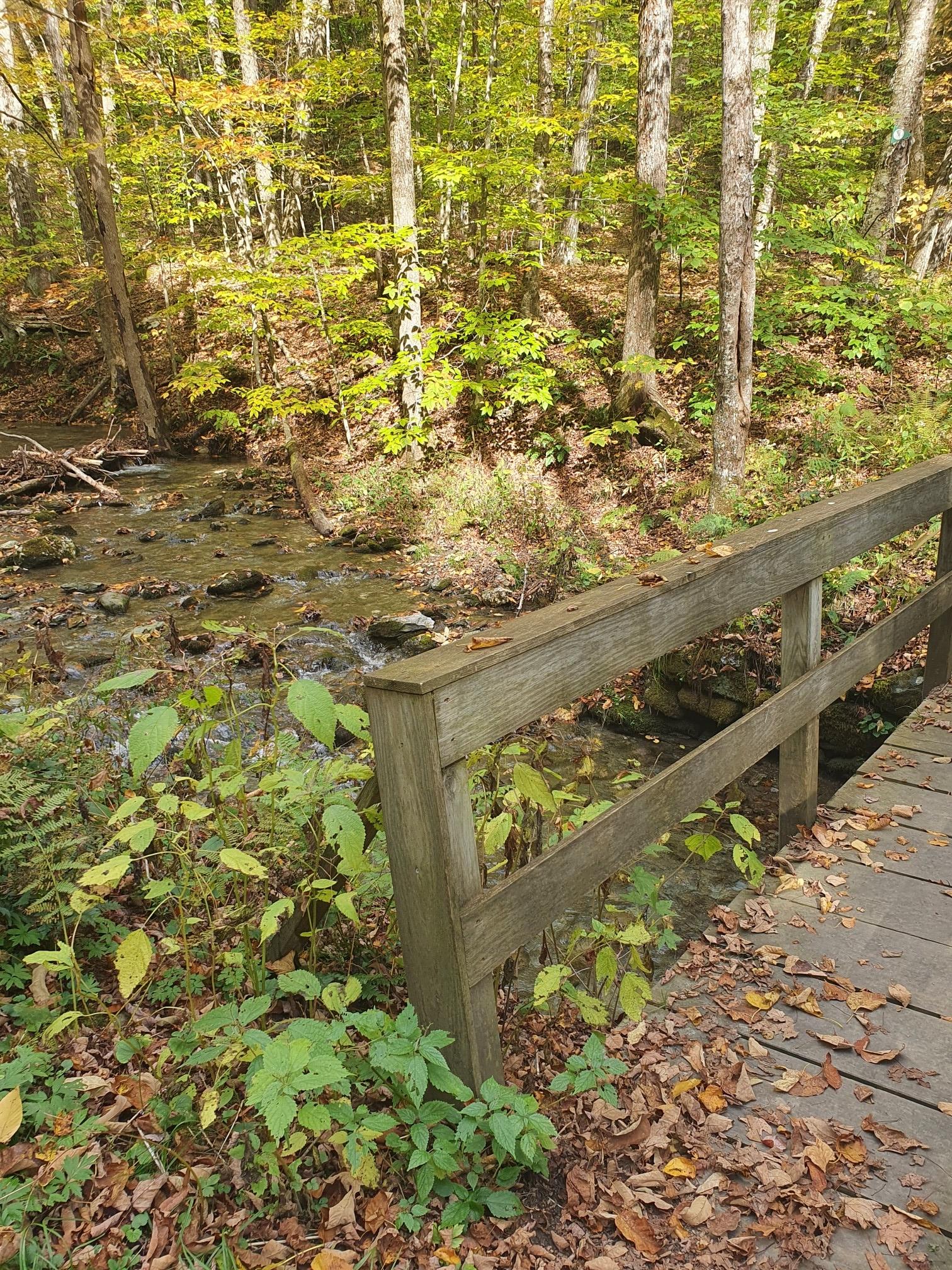 Wooden bridge railing beside a rocky stream in a sunlit autumn forest.