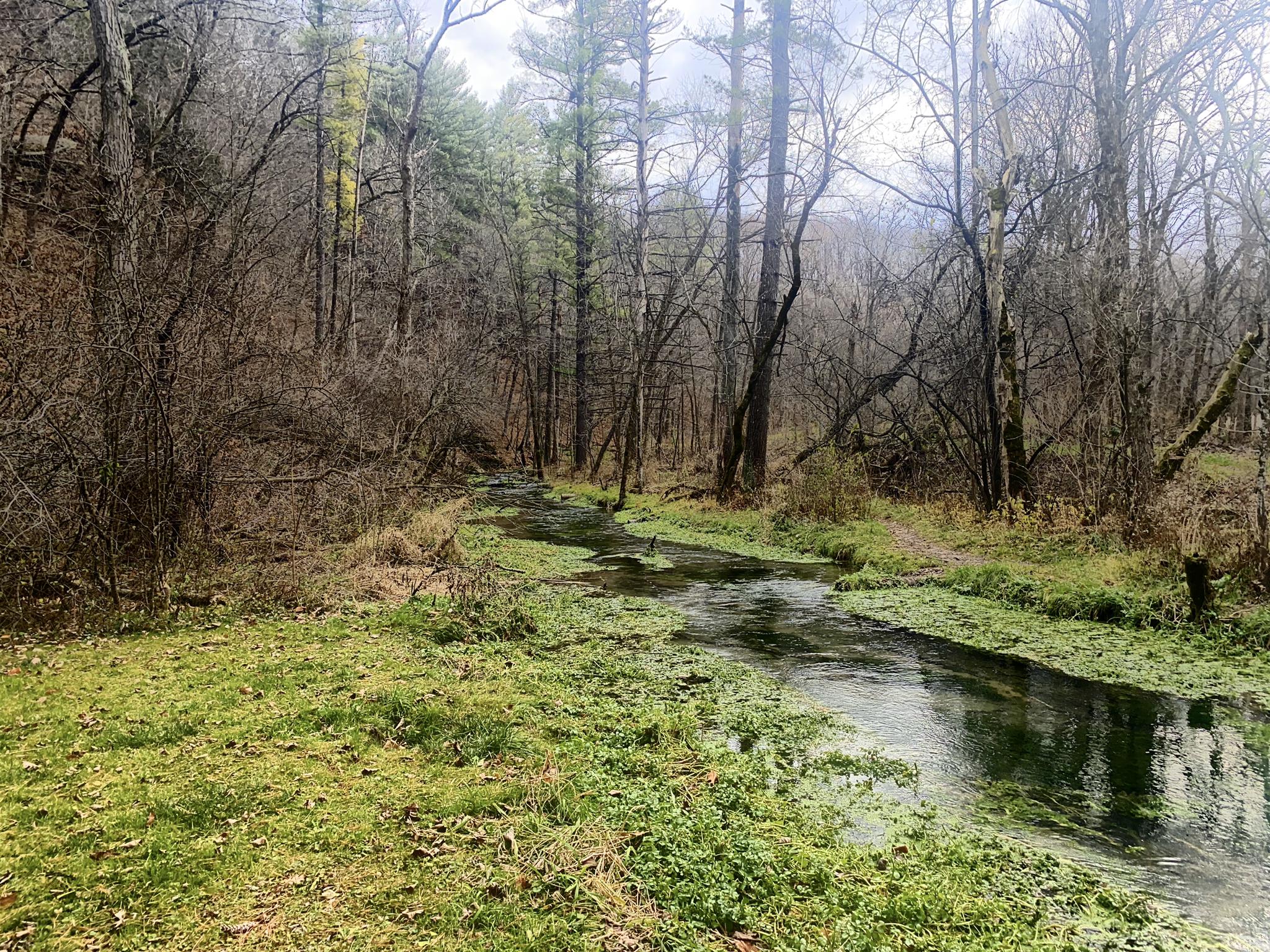 A shallow, clear stream winds through a green, wooded landscape under an overcast sky.