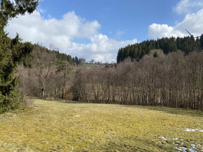 Perlenbach-Fuhrtsbachtal-Talsystem - Routes for Walking and Hiking | Komoot