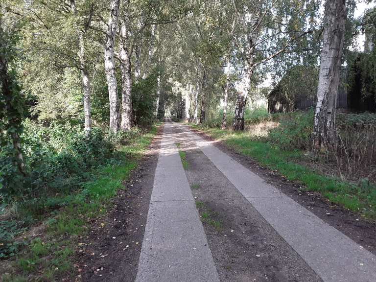 Kührener Teich Hof Wahlstorf Recorrido circular desde Preetz Paseo