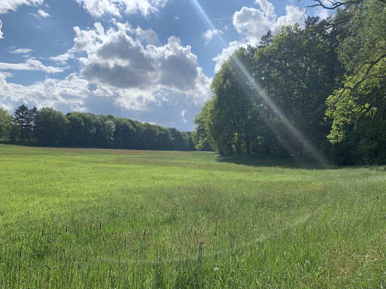 Mechesee Moor Runde von Lobetal Wanderung Komoot