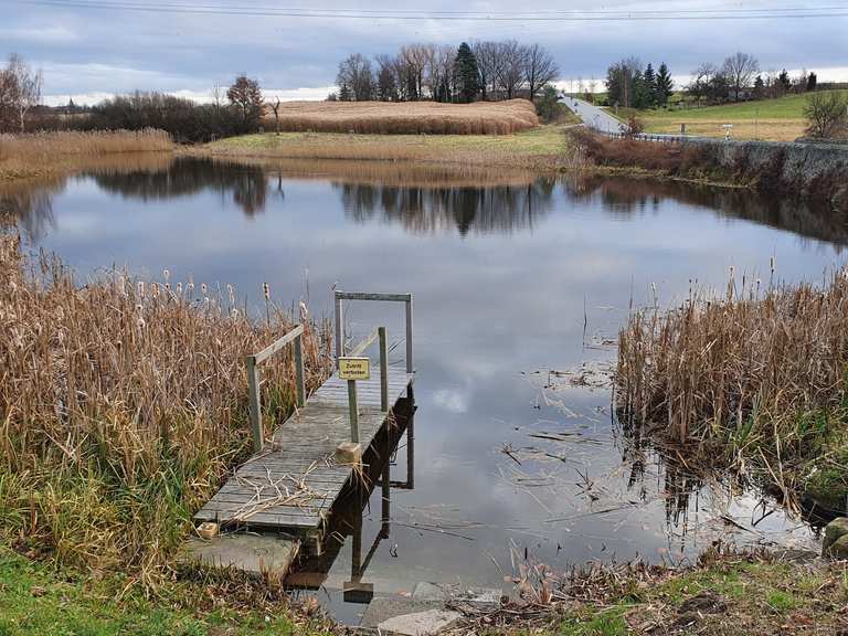 Dippelsdorfer Teich Dippelsdorfer Teich Rondje vanuit Friedewald
