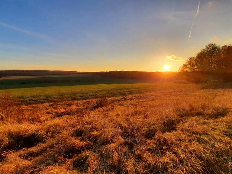 UNESCOWeltnaturerbe Hainich Craulaer Kreuz Runde von Craula