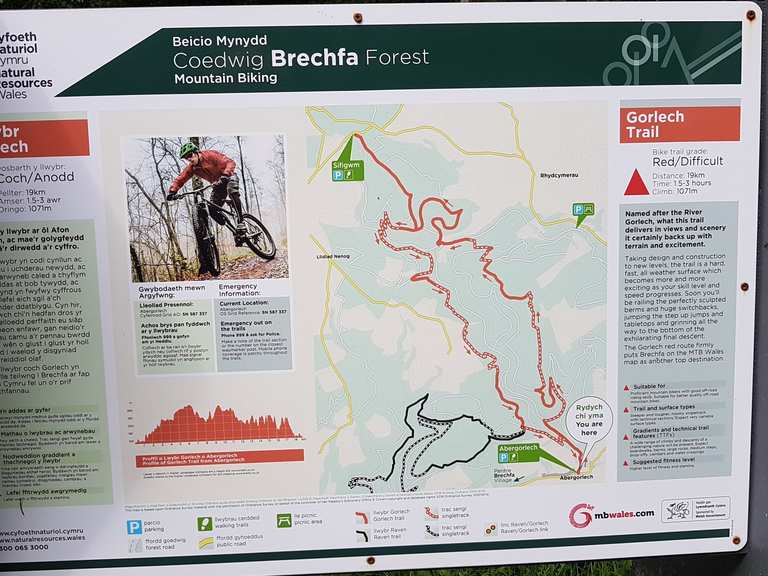 Brechfa mtb best sale