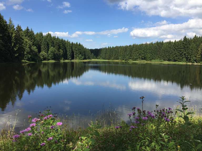 Pixhaier Teich Fortuner Teich Runde von Buntenbock Wanderung Komoot