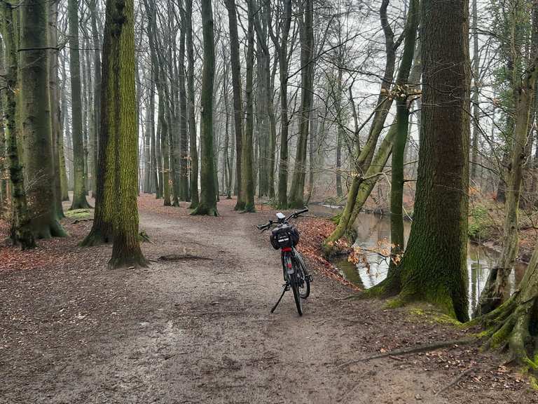 Lutter Wald NordrheinWestfalen, Deutschland Radtouren