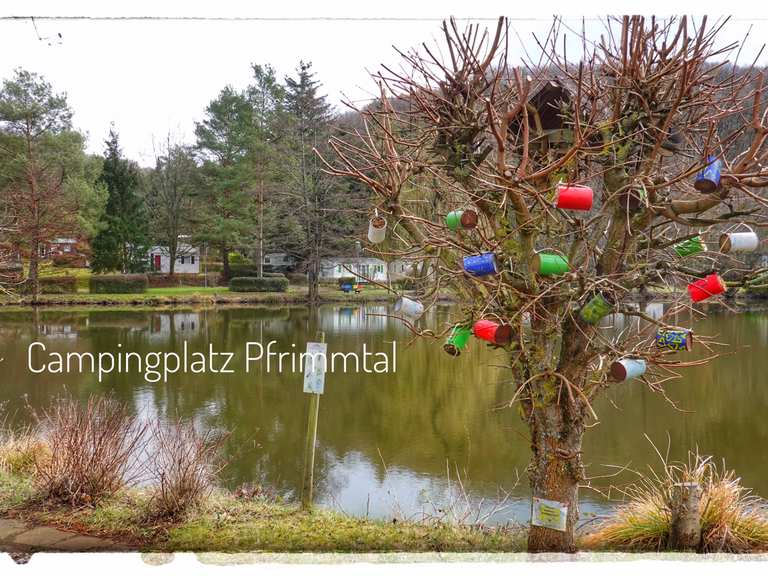 Campingplatz Pfrimmtal  Wander- & Radrouten | Komoot