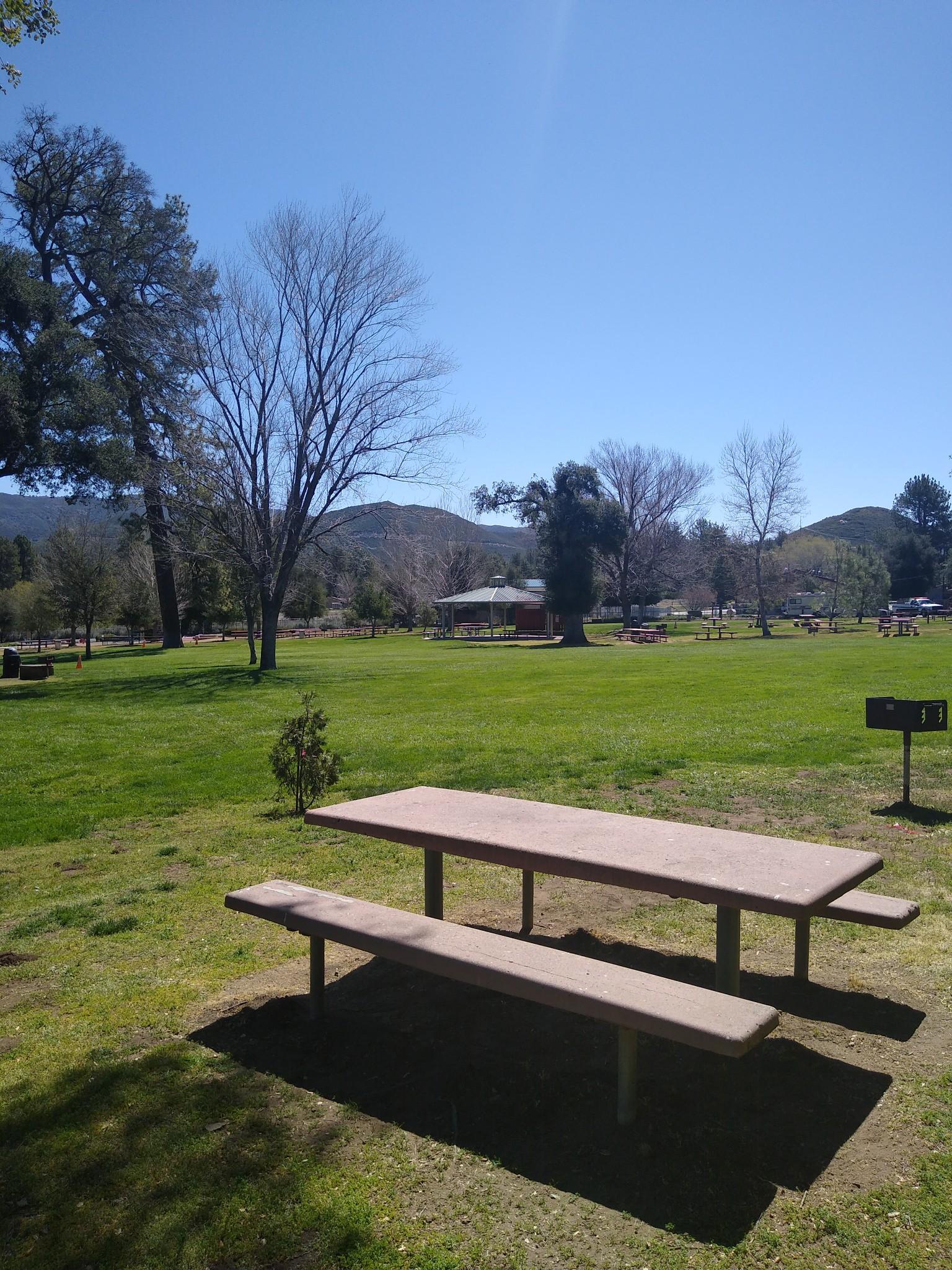 Empty picnic table in a sunny, grassy park with trees and distant hills.