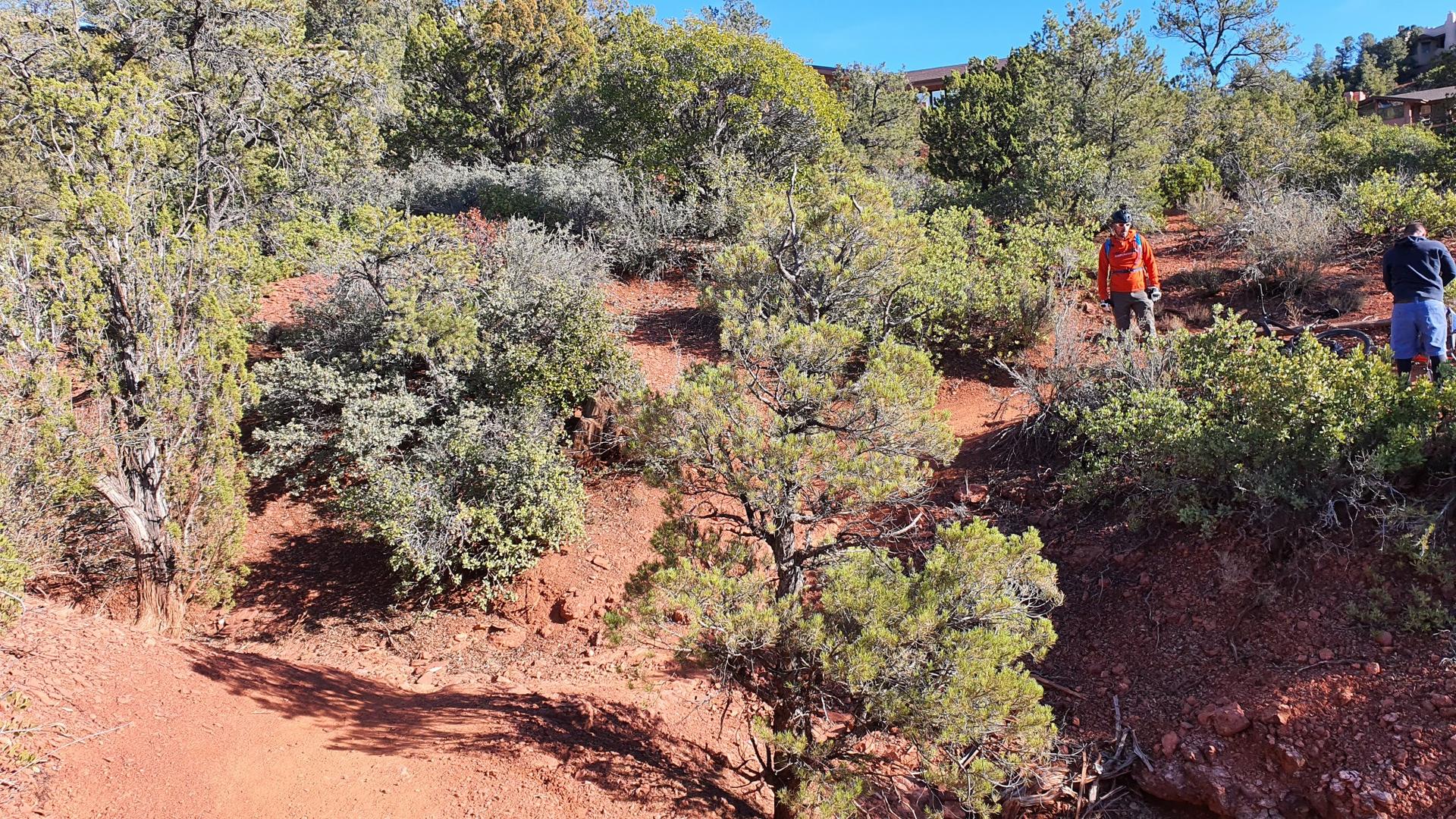 Two hikers on a red dirt trail surrounded by green desert shrubs.