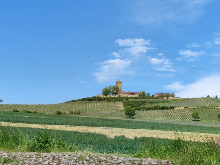 Ausblick auf Ravensburg bei Sulzfeld: Wanderungen und Rundwege | komoot