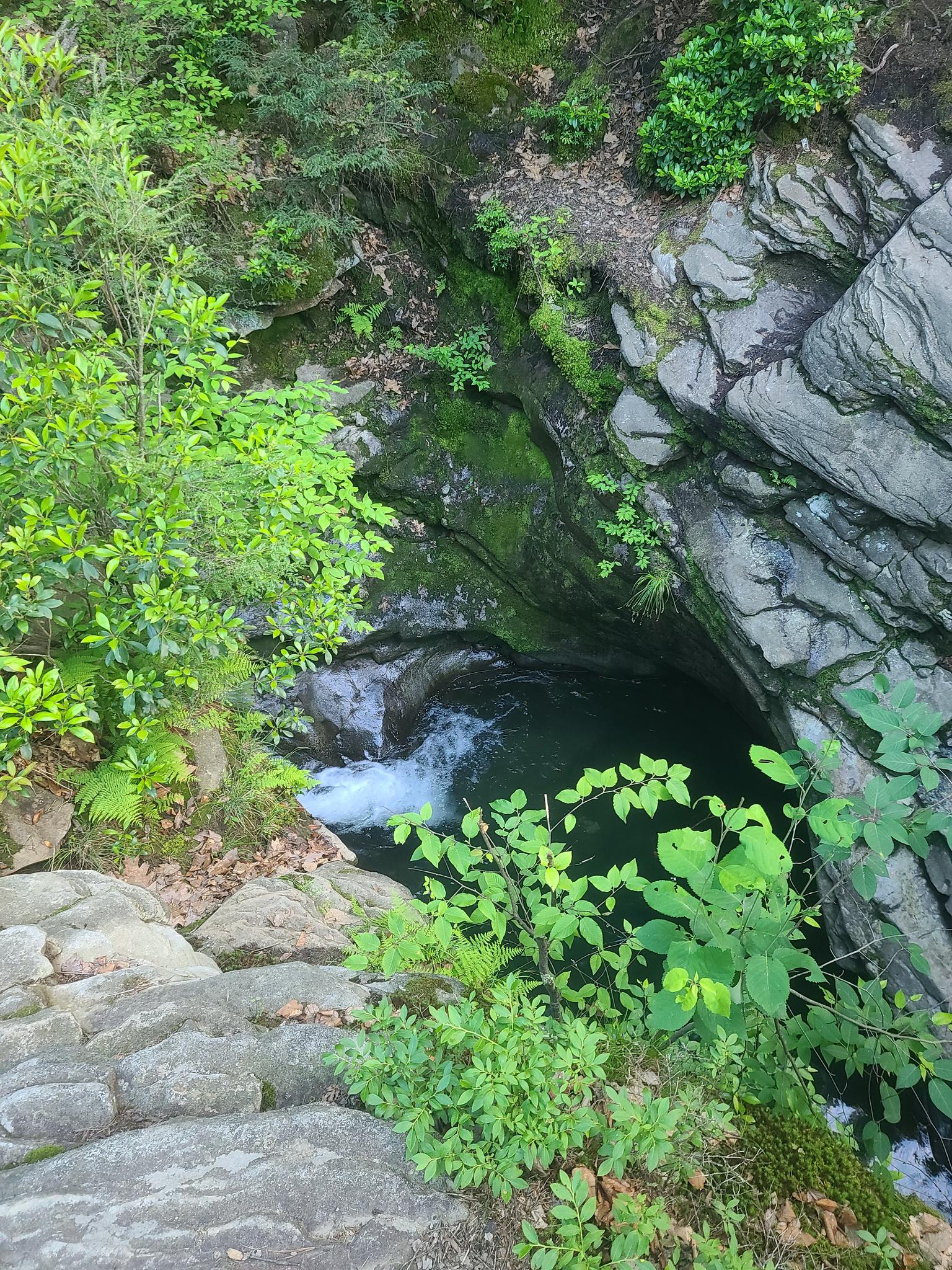 A small waterfall cascades into a dark pool within a rocky, green gorge.