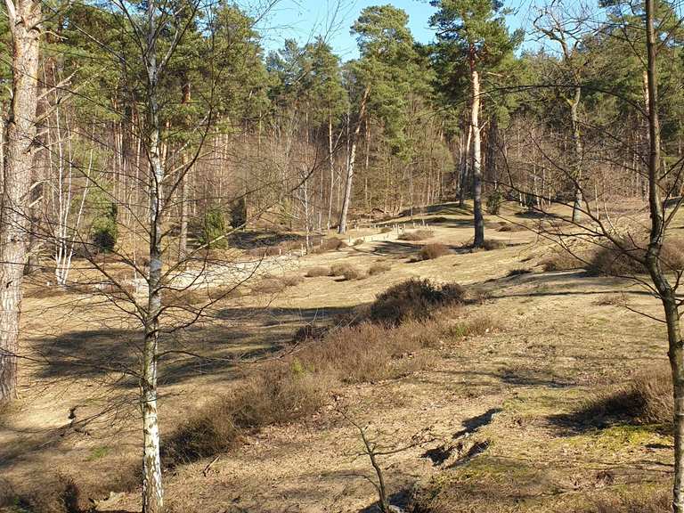 Die Wacholderheide in den Klatenbergen Wanderungen und Rundwege komoot