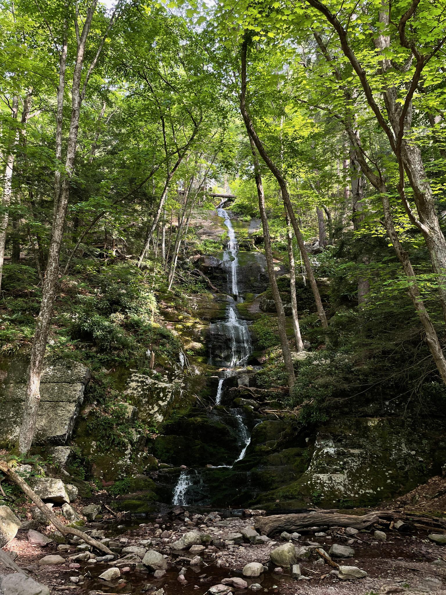 Tall waterfall cascading down a mossy rock face in a lush forest.