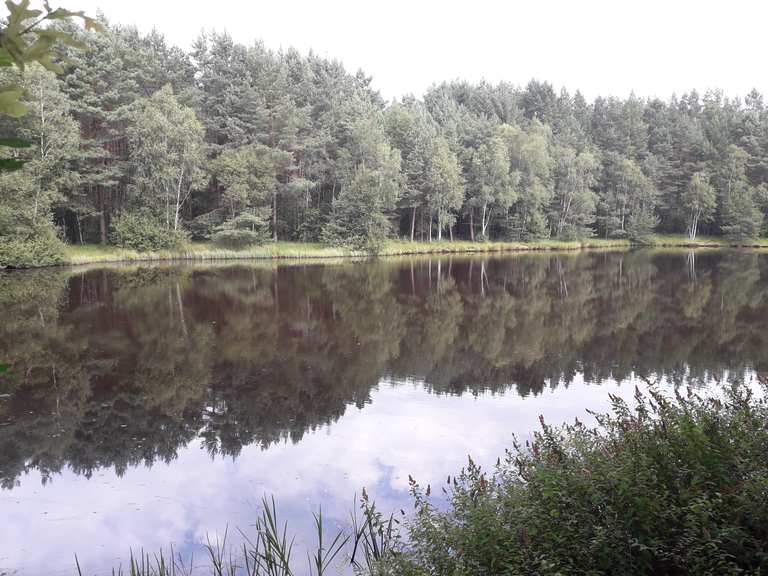 "Feldherrenhügel" Rastplatz am See Rondje vanuit Schwindebeck