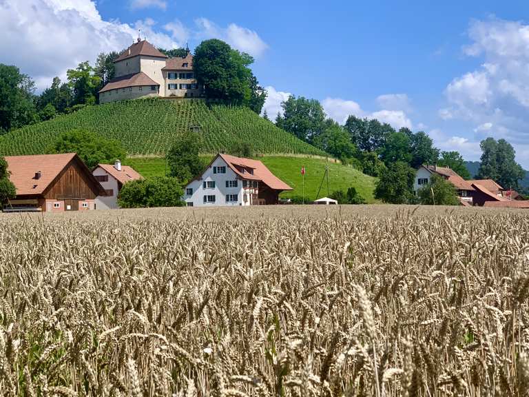 Schloss Girsberg (Waltalingen) Road Cycle Routes and Map Komoot