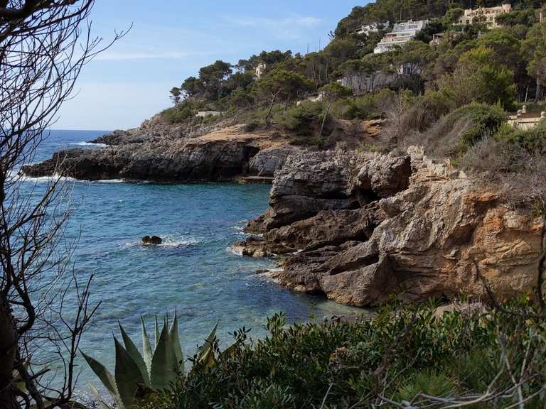 Cala Rotja Mirador Cap des Pinar Recorrido circular desde Canyamel Caminata Komoot