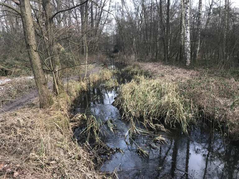 Radweg an der UBahn Ochsenzoll/Kiwittsmoor Hamburg