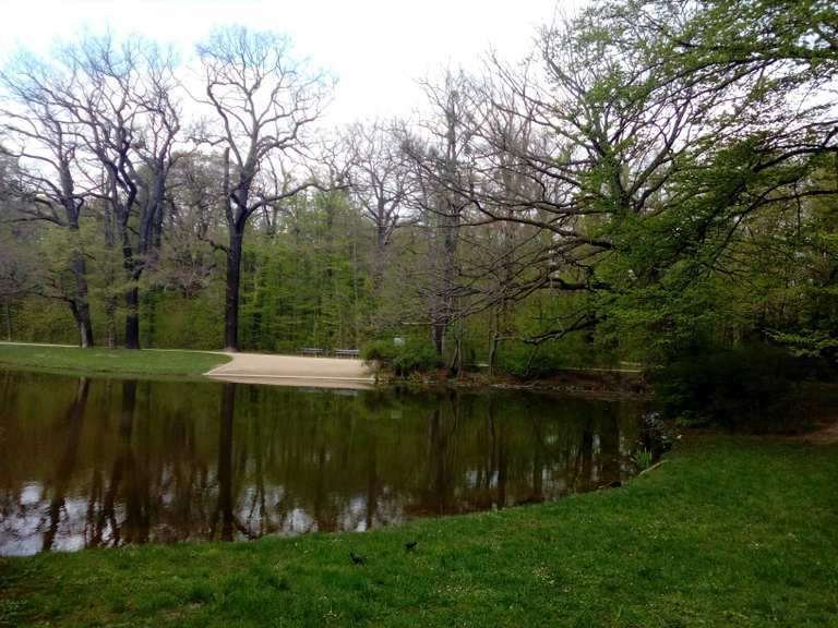 Neuer Teich Wanderungen und Rundwege komoot