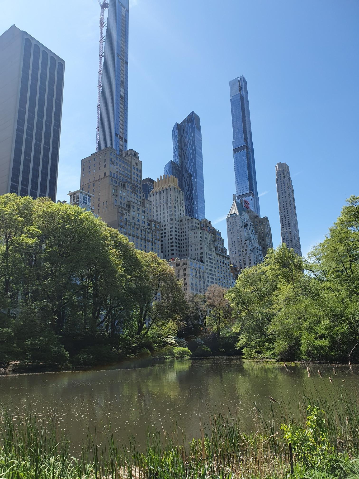 A tranquil lake with tall city buildings towering over green park trees.