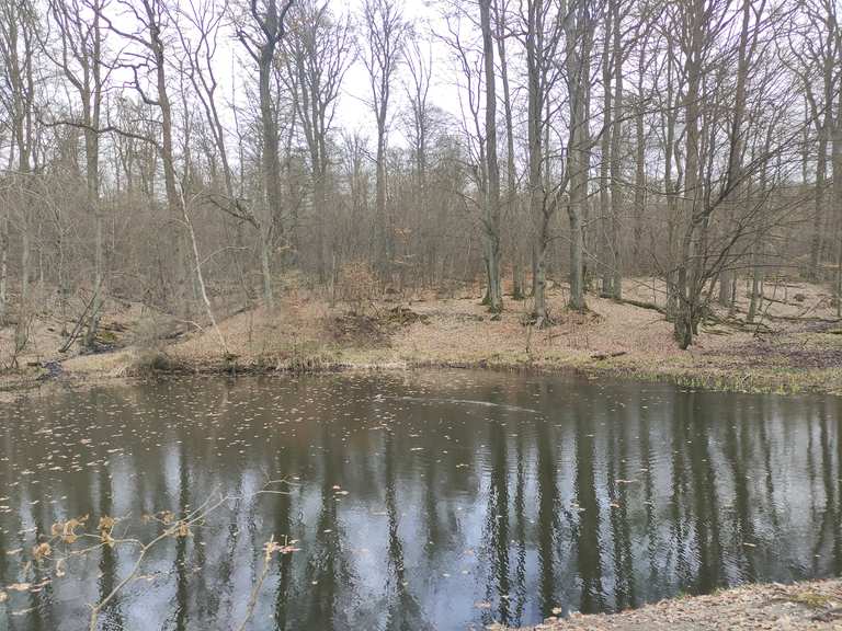 Auringer Weiher Wanderungen und Rundwege komoot