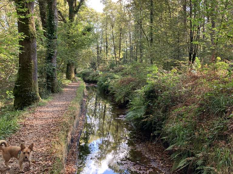 Le Gouffre Huelgoat Foret loop from Huelgoat hike Komoot
