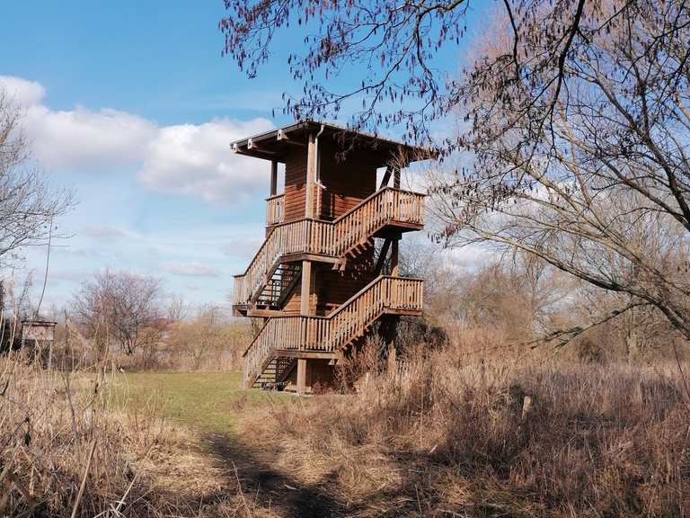 Haselbacher Teiche Wanderungen und Rundwege komoot