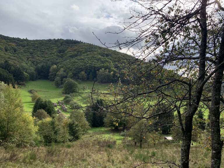 5-Burgenblick – Ausblick ins Tal Runde von Dernbach | Wanderung | Komoot