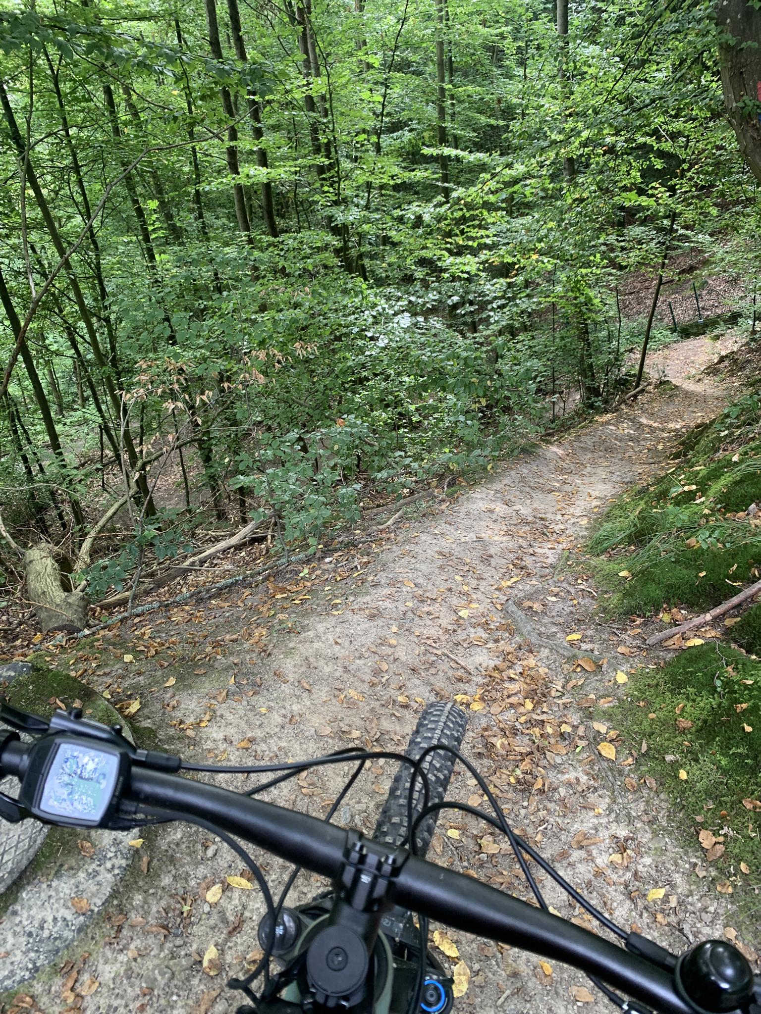 mountainbike hardtail rahmengröße Axess Debris | MTB-Hardtail | 29 Zoll Herrenfahrrad | 16-Gang Schaltung Kueche Trek Powerfly 9.7 LT GRÖSSE:M (Umfang 20 cm)